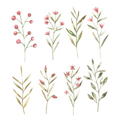 Fototapeta na wymiar set of branches with red and pink flowers and green leaves, botanical illustration for printing , wedding design