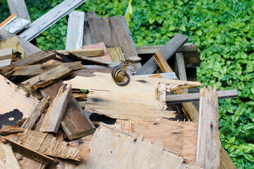 chipmunk on a pile of wood