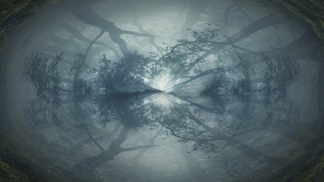 A spooky nightmare forest. On a foggy, winters day. With an abstract dream like tunnel edit.