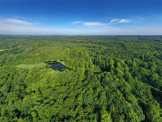 Gribskov Forest is one of Denmark’s largest and most beautiful natural areas. Gribskov Forest is...