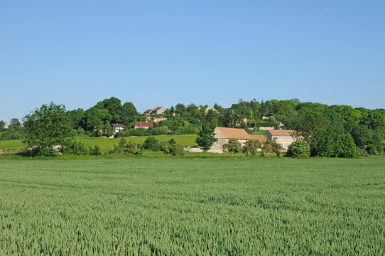 Chapet Images Browse 43 Stock Photos, Vectors, and Video Adobe Stock