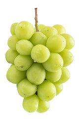 Beautiful a bunch of Shine Muscat green grape isolated on white background.