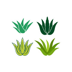 Aloe vera icon set design illustration template