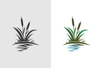 Vector illustration of a colored and one-color bush of cattail, reeds with reflection in the water. River coastal vegetation.