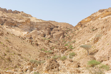 Fototapeta na wymiar scenery of dirt mountain of hadramaut in yemen