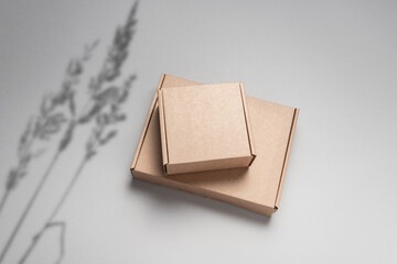 Brown flat cardboard carton box decorated with grass shadow