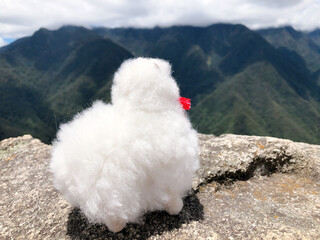 [Peru] Machu Picchu : White alpaca doll taking a commemorative photo against the backdrop of beautiful mountains and blue sky