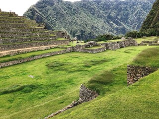 [Peru] Machu Picchu: Square with beautiful lawn, terraced fields and masonry