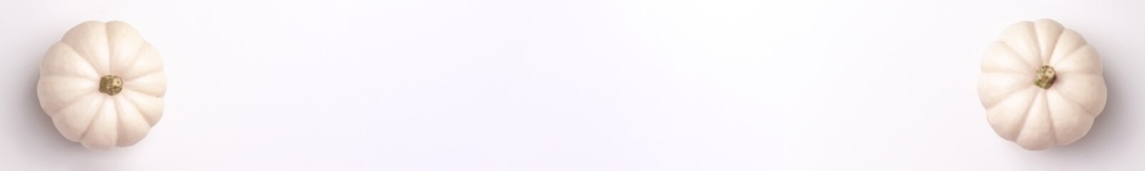 Flat lay banner of mini decorative white pumpkin on bright background from above at the left and right. Halloween and Thanksgiving greeting card holiday concept with copy space.