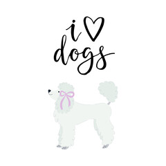 Vector illustration with cute poodle and text I love dogs.