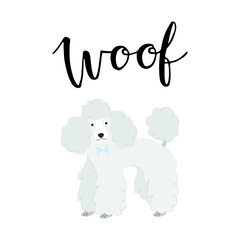 Vector illustration with cute poodle and text Woof.