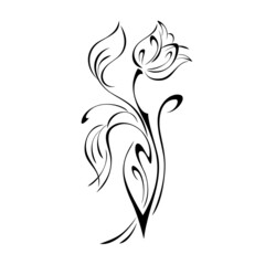 Obraz premium ornament 1937. one stylized flower Bud on a curved stem with leaves and curls in black lines on a white background
