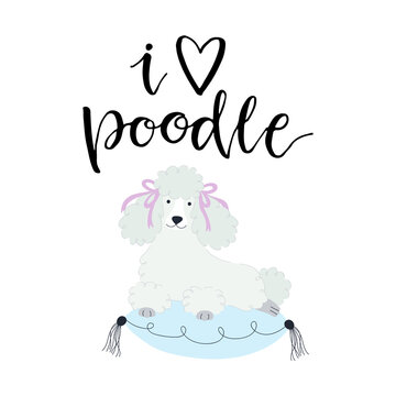 Vector illustration with cute poodle and text I love poodle.