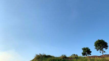 The hills with green grass trees contrasted with the blue of the sky ,landscape on vacation