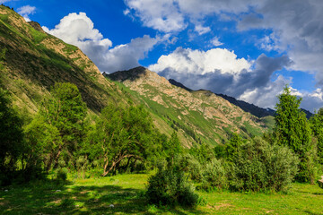 Magnificent mountain and green grassland in Xiata Scenic Area,Xinjiang,China.