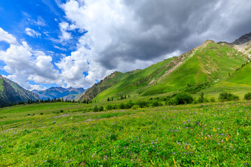 Fototapeta na wymiar Mountain and grassland scenery in Xiata Scenic Area,Xinjiang,China.