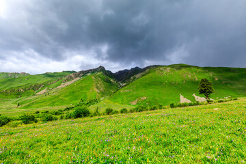 Mountain and grassland scenery in Xiata Scenic Area,Xinjiang,China.