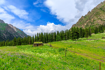 Mountain and grassland scenery in Xiata Scenic Area,Xinjiang,China.