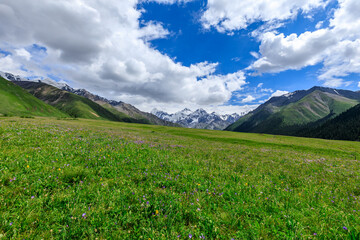 Fototapeta premium Mountain and grassland scenery in Xiata Scenic Area,Xinjiang,China.