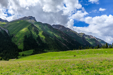 Mountain and grassland scenery in Xiata Scenic Area,Xinjiang,China.