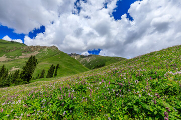 Mountain and grassland scenery in Xiata Scenic Area,Xinjiang,China.
