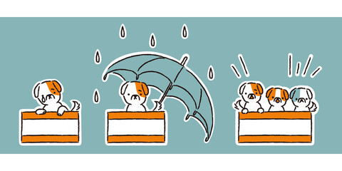 ダンボールの捨て犬・雨の中・子犬（シンプル）