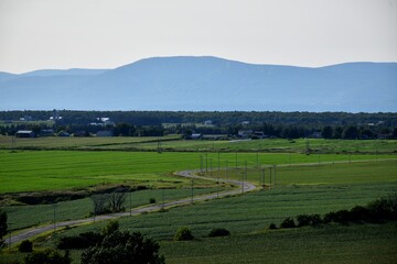 Fototapeta na wymiar A road crosses agricultural land, Montmagny, Québec, Canada