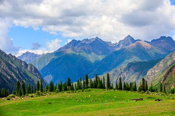 Magnificent mountain and green grassland in Xiata Scenic Area,Xinjiang,China.