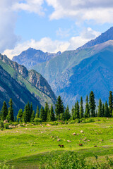 Magnificent mountain and green grassland in Xiata Scenic Area,Xinjiang,China.