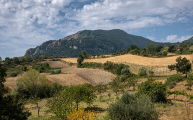 Fototapeta na wymiar View of Mount Taburno. Sannio countryside. Summer landscape. Campania, Italy.