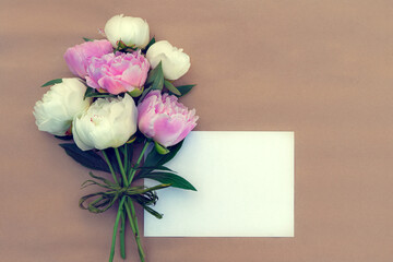 Bouquet of pink and white peonies close-up with copy space for design.