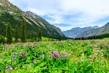 Mountain and grassland scenery in Xiata Scenic Area,Xinjiang,China.