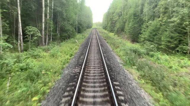 Railway In The Forest