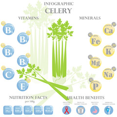 Health benefits and nutrition facts of celery infographic vector illustration.