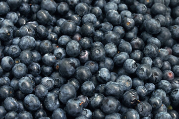 Fresh blueberries. Texture of blueberry berries close up