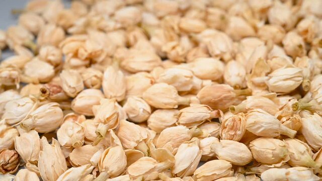 angle pan herb MoLiHua or Jasminum sambac Linn. Aiton or Arabian Jasmine