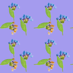 Cornflower. Illustration, texture of flowers. Seamless pattern for continuous replication. Floral background, photo collage for textile, cotton fabric. For wallpaper, covers, print.