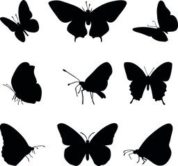Butterflies icons, vector illustration, silhouettes... vector icon.