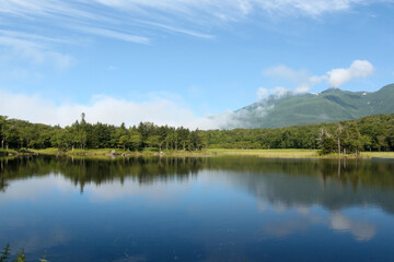 Fototapeta na wymiar Lake in the mountains, Shiretoko, Hokkaido（知床五湖）