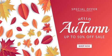 Autumn sale background template design decorated with colorful leaves. Suitable for banner, poster, flyer, etc.