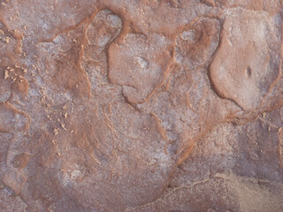 Wind and water pattern worn rocks on the Gulf of St Lawrence on Prince Edward Island