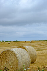 Vertical image of hay bales on the coast of North Rustico on Prince edward Island
