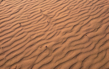 Sand Ripples on the red sand beaches of Cavendish Prince Edward ISland