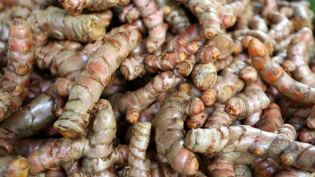 whole turmeric root spice