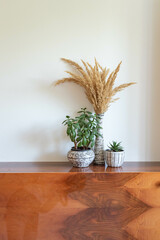 Naklejka premium Mid-century modern pottery set - grey pots and a vase with plants on a wooden table