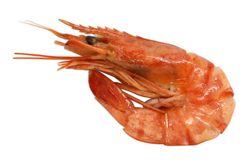 Fresh fried shrimps isolated over white background.seafood