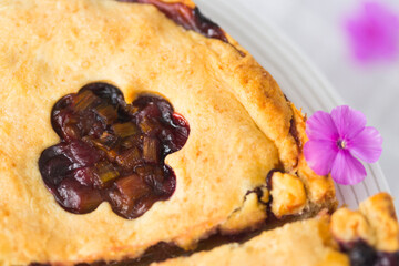 Piece of rhubarb or pieplant and blueberry pie surrounded by white porcelain dishes and violet phlox flowers on white tablecloth