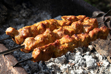Pork shish kebab fried on coals.