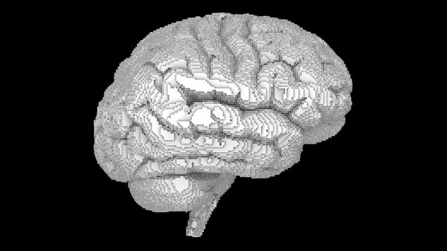 3D turntable pixel art pattern style on white brain surface on black background