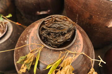 한국 전통 음식 곤드레나물